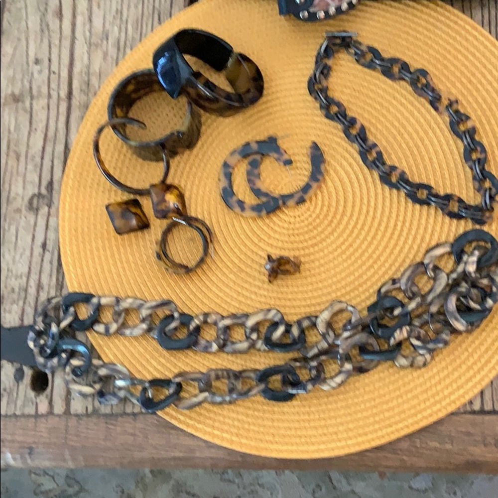 Assorted Tortoise Shell Jewelry, Bakelite - image 1